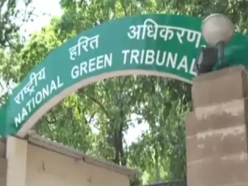Noida DM establishes 'green' violation cell